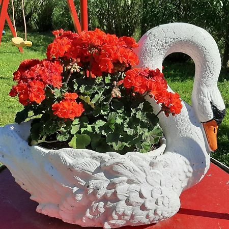 La Cupoletta Holiday House -Magnolia Trevignano Romano Ngoại thất bức ảnh
